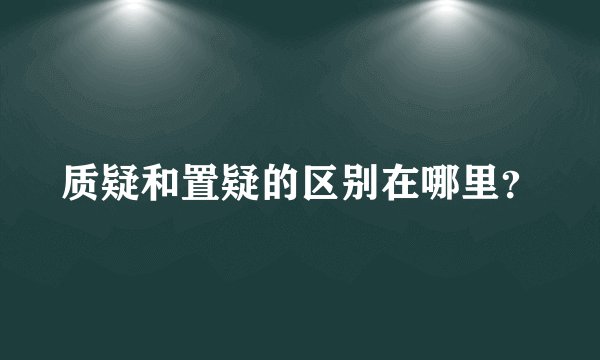 质疑和置疑的区别在哪里？