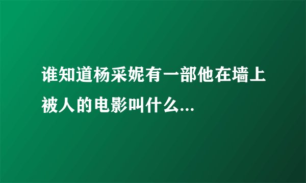 谁知道杨采妮有一部他在墙上被人的电影叫什么...