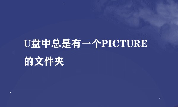 U盘中总是有一个PICTURE的文件夹
