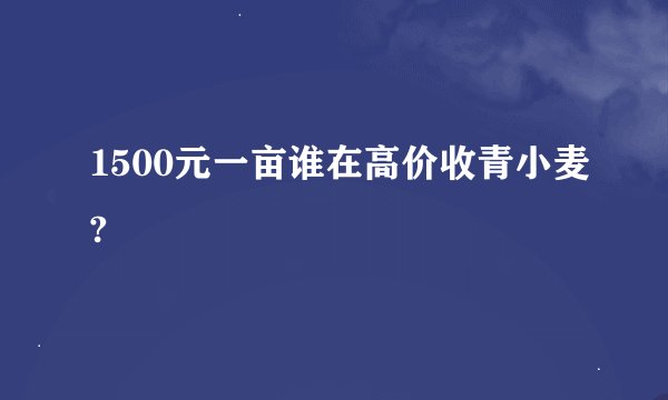 1500元一亩谁在高价收青小麦?