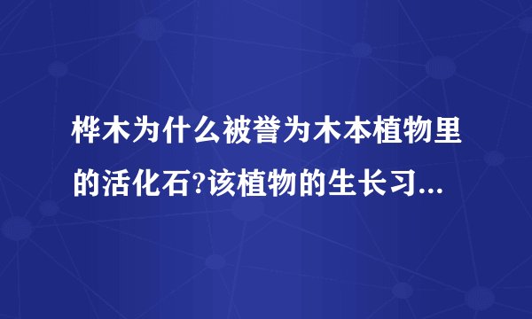 桦木为什么被誉为木本植物里的活化石?该植物的生长习性是怎样的?