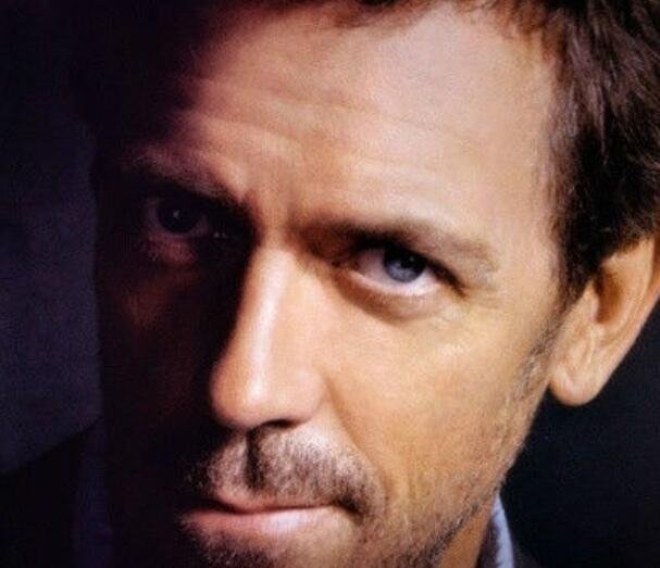 求豪斯医生大结局的剧情。。不太敢看～～