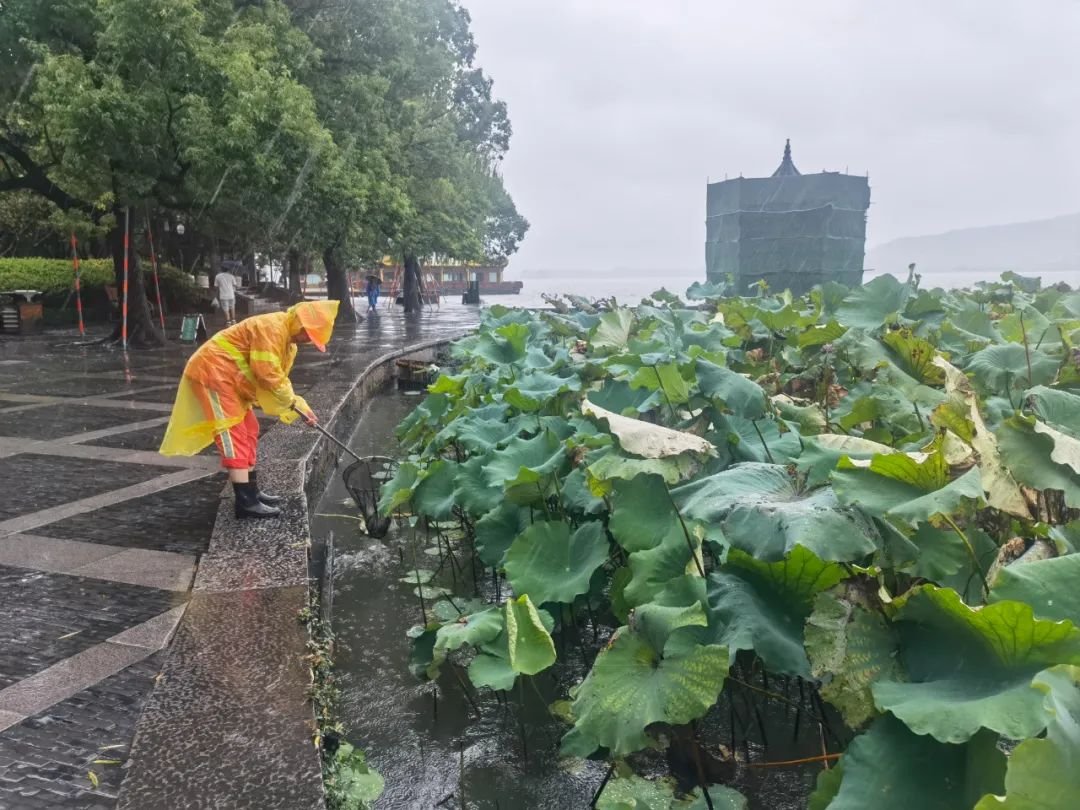 台风“灿都”登陆上海可能性基本排除，那么接下来“灿都”会去往哪里？