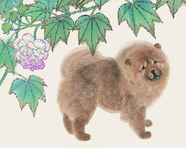 净儿明窗是什么生肖?