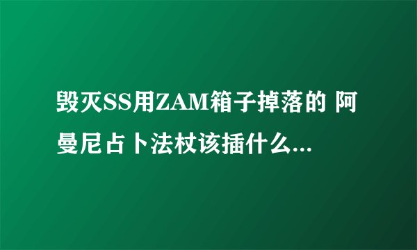 毁灭SS用ZAM箱子掉落的 阿曼尼占卜法杖该插什么石头比较好呢？ 谢谢