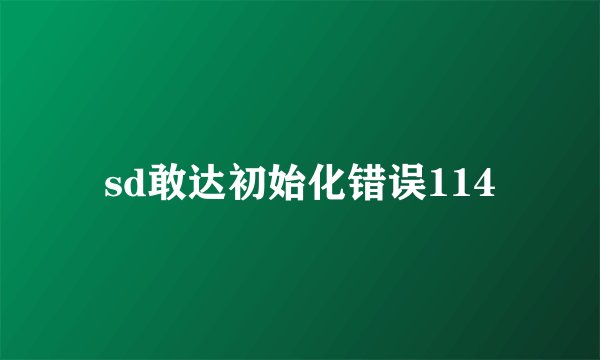 sd敢达初始化错误114