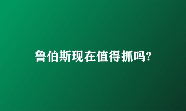 鲁伯斯现在值得抓吗?
