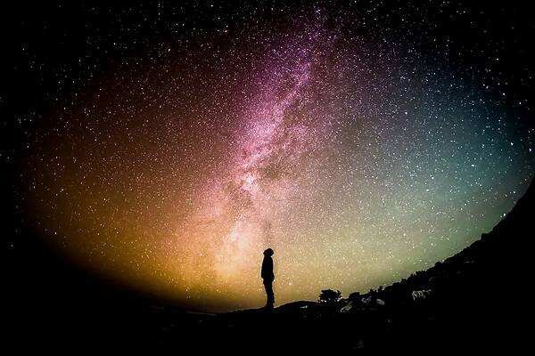 在树枝守望7天，洪水中的鸡坚强，坚强是怎样的人生态度？