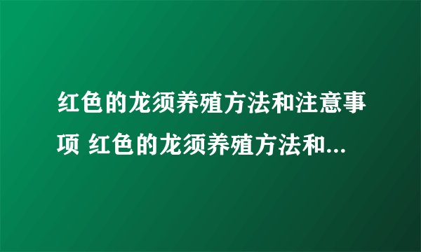 红色的龙须养殖方法和注意事项 红色的龙须养殖方法和注意事项是什么