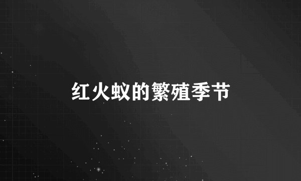 红火蚁的繁殖季节