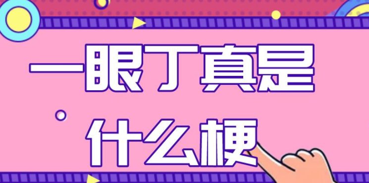 一眼丁真什么意思？