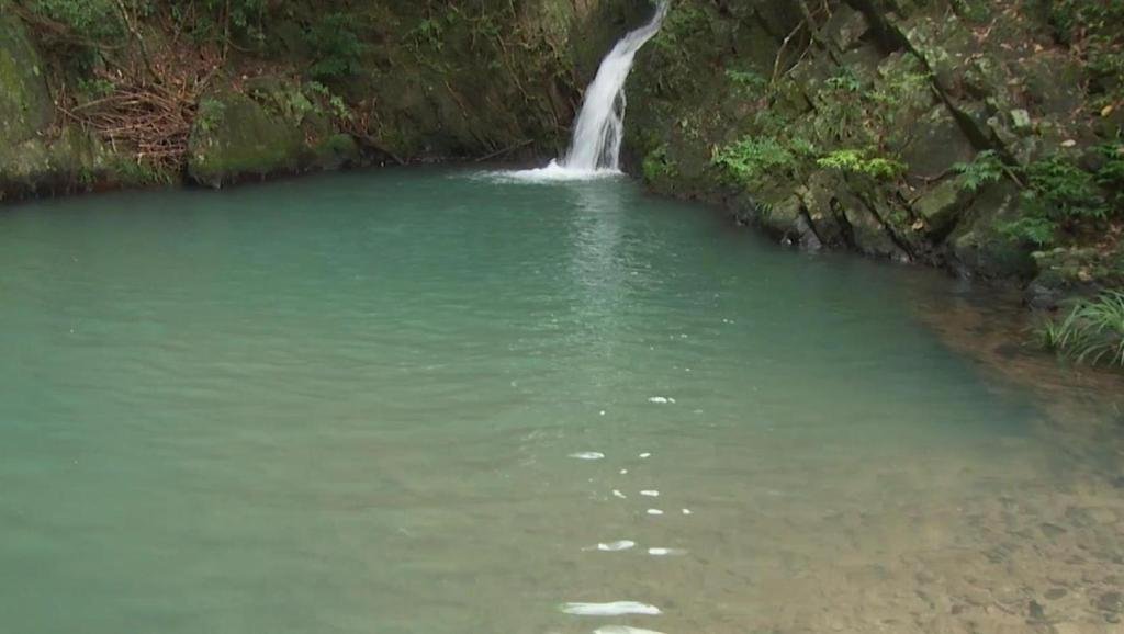 六盘山泾河源首现“娃娃鱼”，该物种对生存环境有什么要求？
