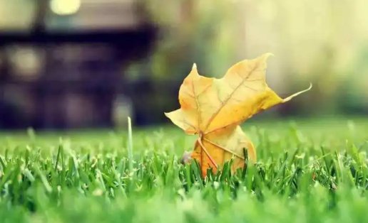 老人常说“凌晨立秋这个秋天就凉爽了”，有科学依据吗？