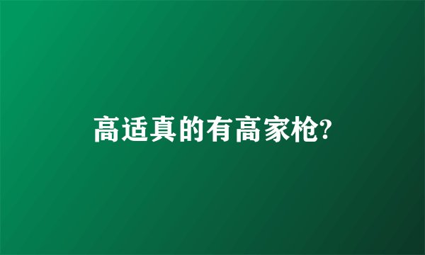 高适真的有高家枪?
