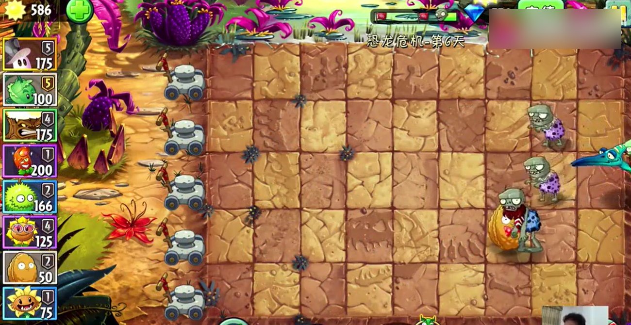 植物大战僵尸中的坚果愈合术怎么用?