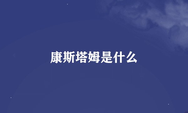 康斯塔姆是什么