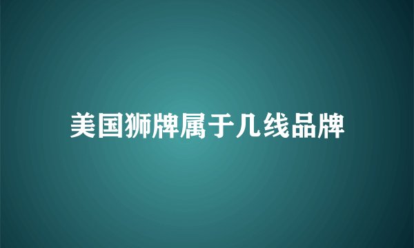 美国狮牌属于几线品牌