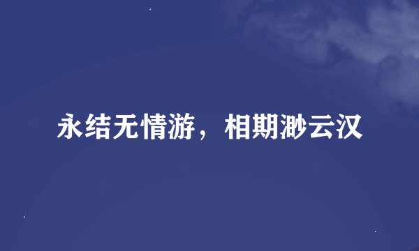 永结无情游，相期渺云汉