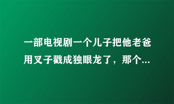 一部电视剧一个儿子把他老爸用叉子戳成独眼龙了，那个儿子是连凯演的