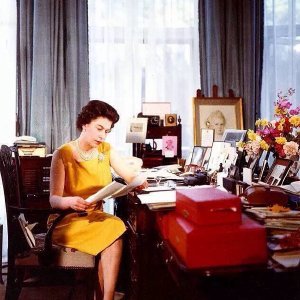 杜彩的学术成果