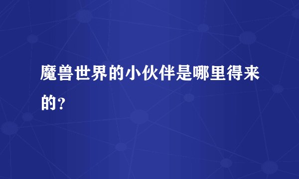 魔兽世界的小伙伴是哪里得来的？