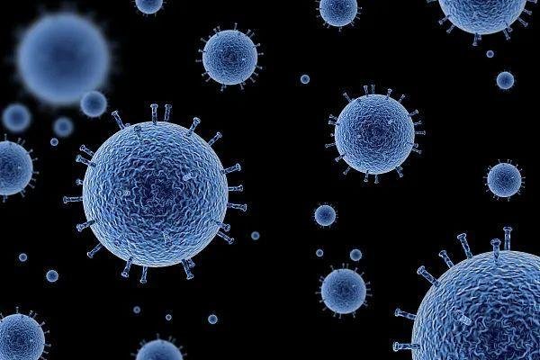 四川现国内未有过的奥密克戎变异株，其传播力有多强？