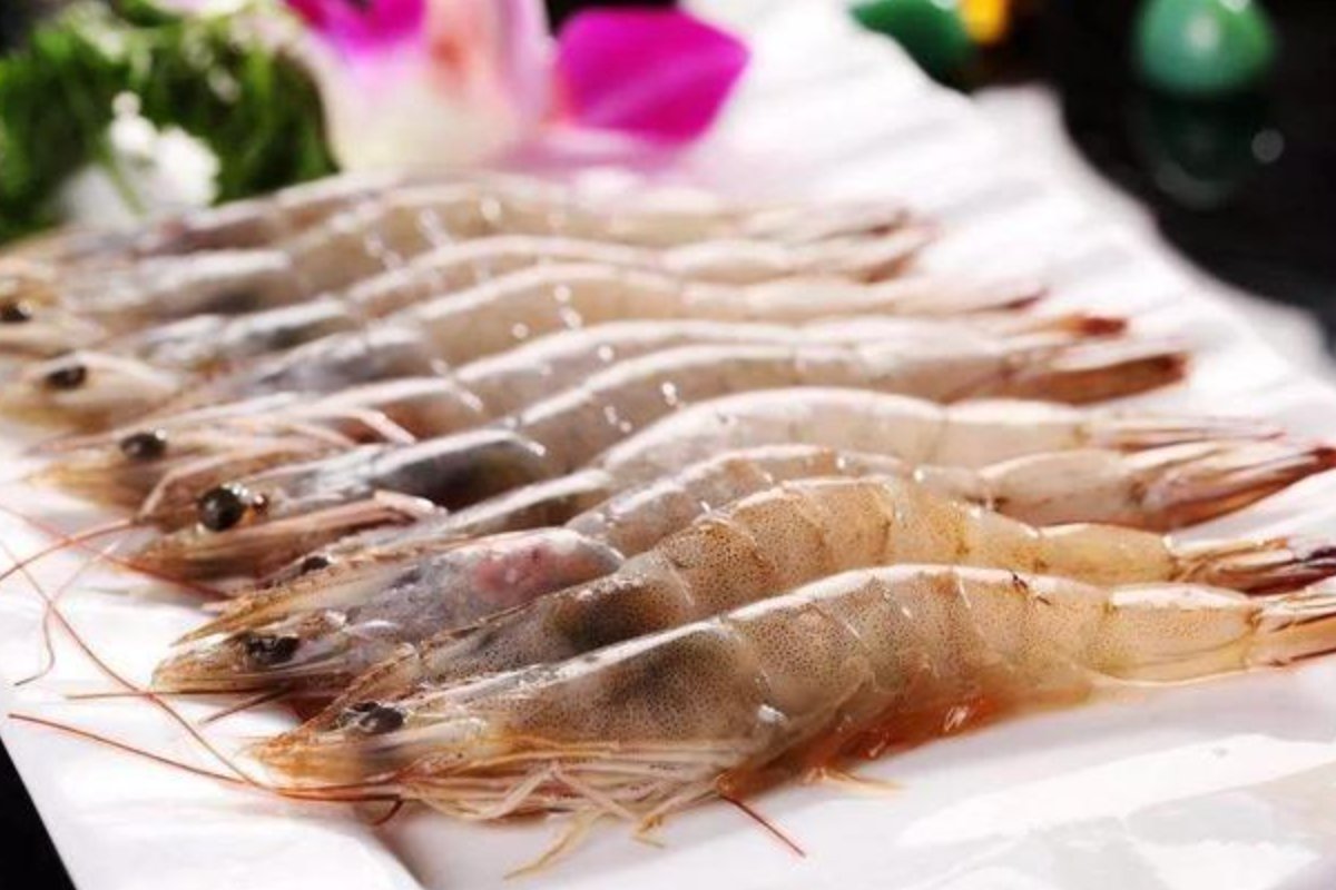 基围虾得名主要是因为蚂蚁庄园