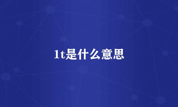 1t是什么意思