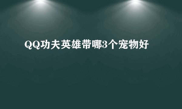 QQ功夫英雄带哪3个宠物好