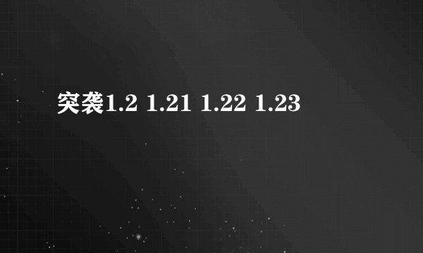 突袭1.2 1.21 1.22 1.23