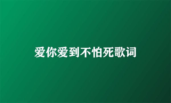 爱你爱到不怕死歌词