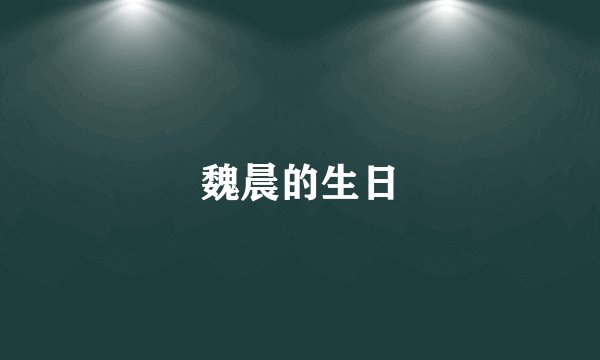 魏晨的生日