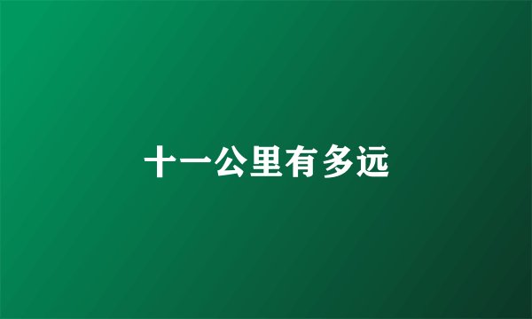 十一公里有多远