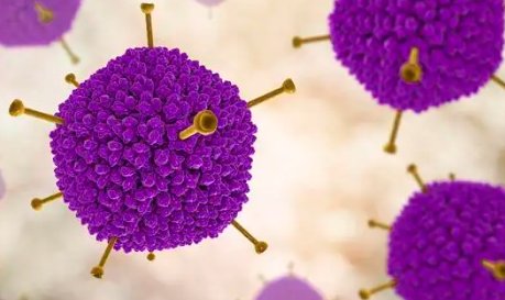 乐山2名儿童检出腺病毒，腺病毒是什么？夏季游泳如何避免腺病毒感染？