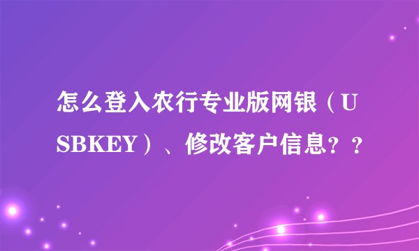 怎么登入农行专业版网银（USBKEY）、修改客户信息？？