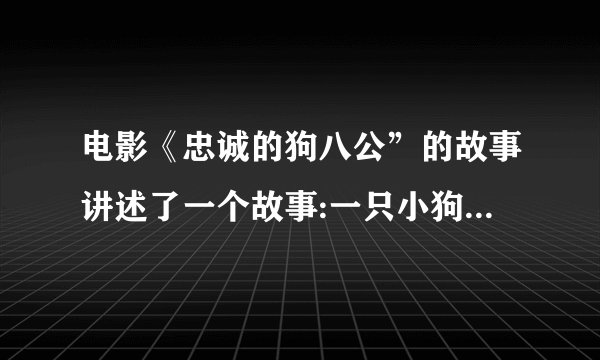 电影《忠诚的狗八公”的故事讲述了一个故事:一只小狗八公在车站丢了,八,不知道如何去公园前,帕克立刻