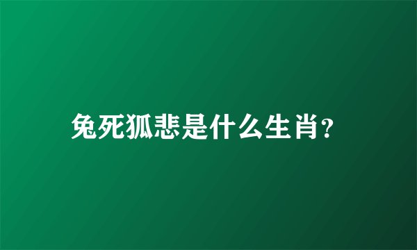 兔死狐悲是什么生肖？