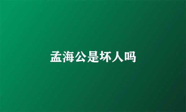 孟海公是坏人吗
