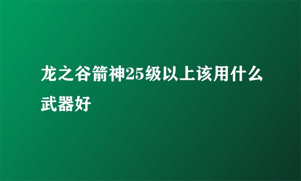 龙之谷箭神25级以上该用什么武器好