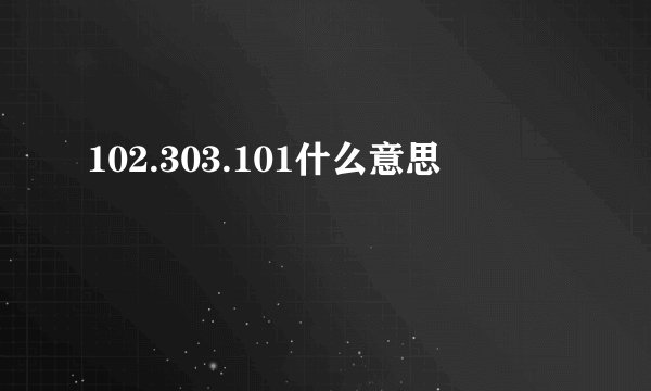 102.303.101什么意思