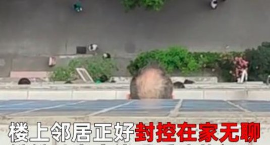 因楼下有人吵架！女子开窗看热闹整楼窗边都是脑袋，到底谁才是热闹？