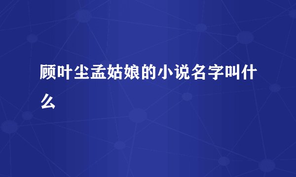 顾叶尘孟姑娘的小说名字叫什么
