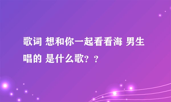 歌词 想和你一起看看海 男生唱的 是什么歌？？