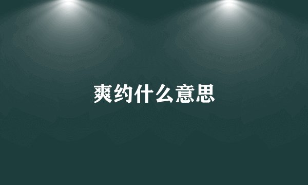 爽约什么意思