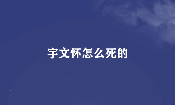 宇文怀怎么死的