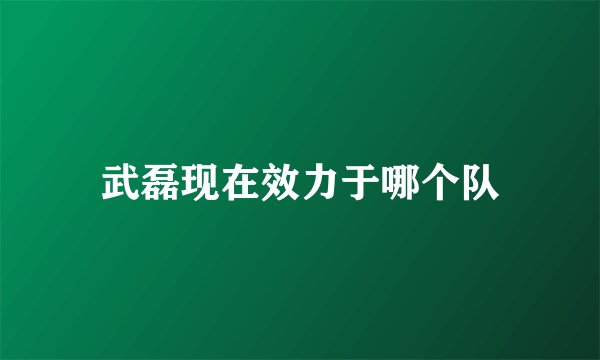 武磊现在效力于哪个队
