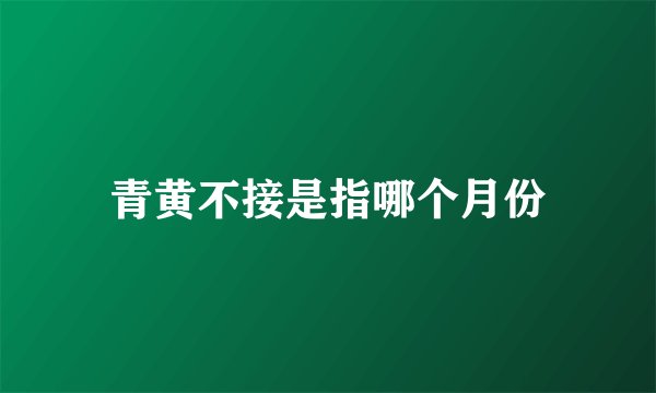 青黄不接是指哪个月份