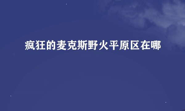 疯狂的麦克斯野火平原区在哪