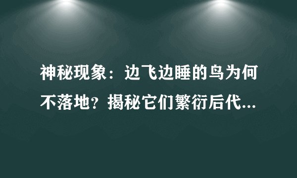 神秘现象：边飞边睡的鸟为何不落地？揭秘它们繁衍后代的秘密！