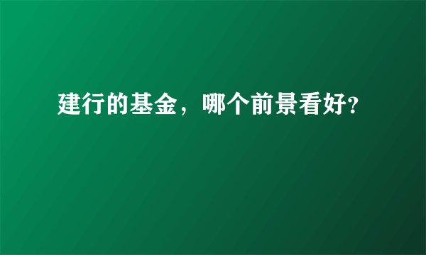 建行的基金,哪个前景看好?